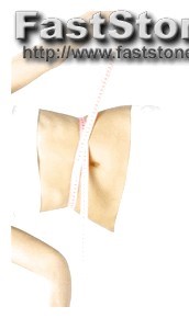 Mspy Sign In